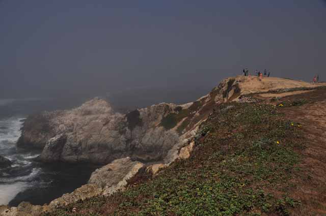 Bodega Head